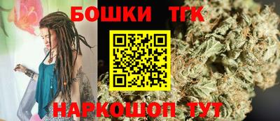 твердый Кингисепп