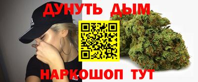 твердый Кингисепп