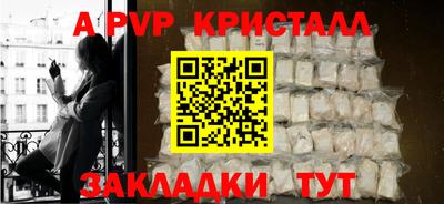 твердый Кингисепп