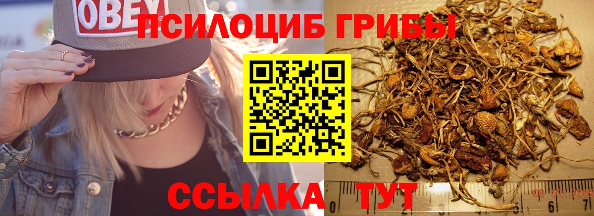 Кубинка  Галлюциногенные грибы Magic Shrooms  что такое   Вход с VPN 