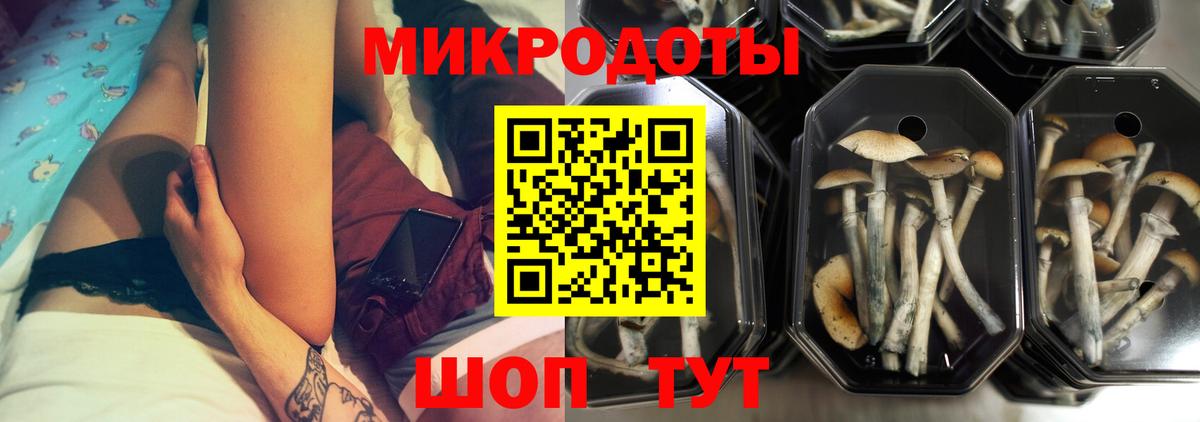 Галлюциногенные грибы Psilocybine cubensis Кубинка